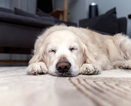 Εντυπωσιακά αθόρυβο!