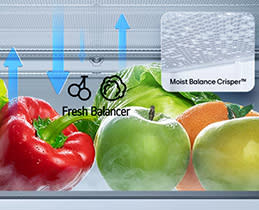 LG Ψυγειοκαταψύκτης GBBS322BPY