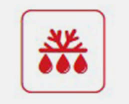 Δεν πτοείται με τίποτα