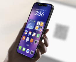 5075408-Box-3-SelfieCam-Video