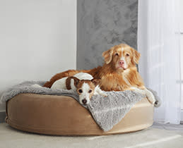 Ιδανική για κατοικίδια