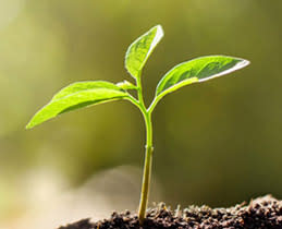 5033322-Box-3-ABFUTURE