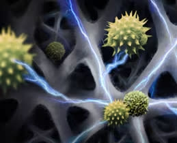 Αλλεργιογόνα τέλος! 