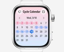5144752-Box-6-Menstrual-Cycle