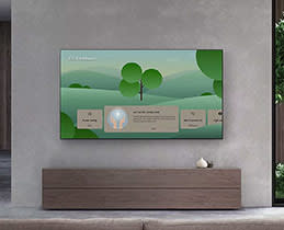 SONY BRAVIA 2 II